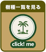 商品一覧
